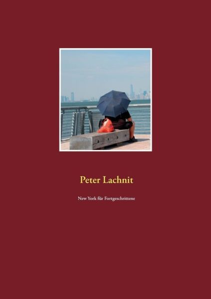 Cover for Lachnit · New York für Fortgeschrittene (Book) (2017)