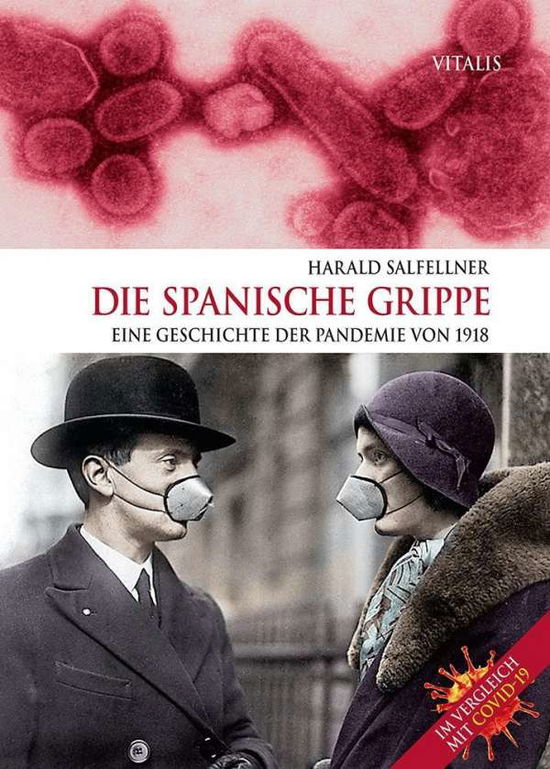 Cover for Salfellner · Die Spanische Grippe (Book)