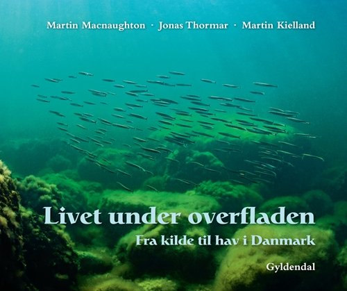 Cover for Martin Macnaughton; Jonas Thormar; Martin Kielland · Livet under overfladen (Innbunden bok) [1. utgave] [Indbundet] (2012)
