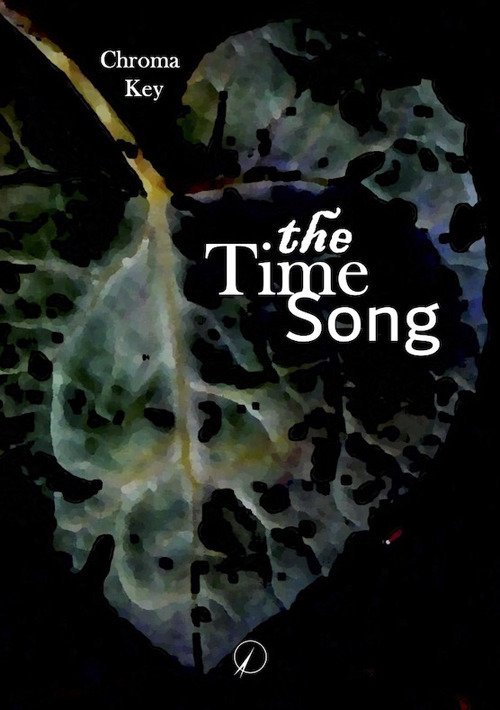 Cover for Chroma Key · The Time Song (Buch)