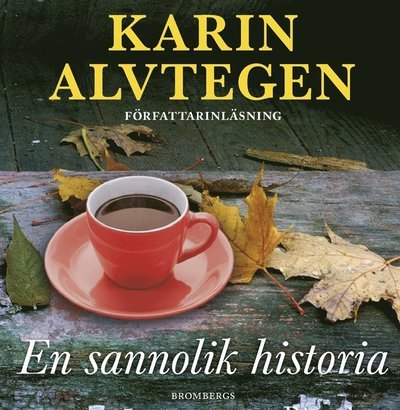 Cover for Karin Alvtegen · En sannolik historia (Lydbog (MP3)) (2020)