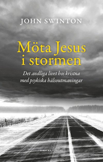 Cover for John Swinton · Möta Jesus i stormen : om livet som kristen med psykiska hälsoutmaningar (Paperback Book) (2022)