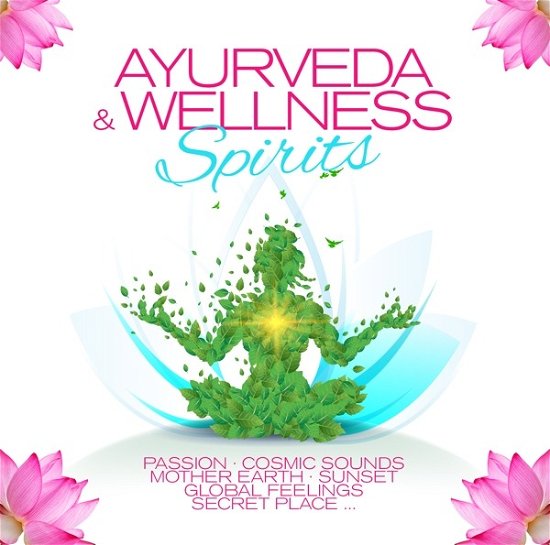 Ayurveda & Wellness Spirits - V/A - Muziek - ZYX - 0194111024946 - 18 augustus 2023