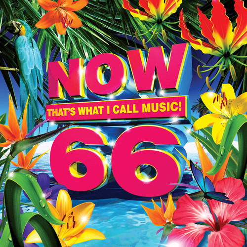 Now 66 - Now That's What I Call Music - Music - Now Hits Collections - 0600753828946 - November 6, 2019