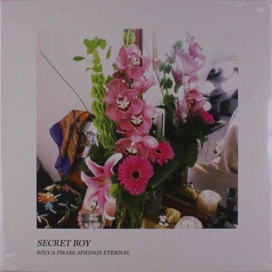 Secret Boy (Pink Vinyl) - Wicca Phase Springs Eternal - Musik - RUN FOR COVER - 0811408030946 - 2 december 2019