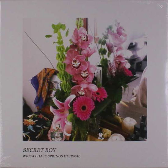 Secret Boy (Pink Vinyl) - Wicca Phase Springs Eternal - Musik - RUN FOR COVER - 0811408030946 - 2. december 2019