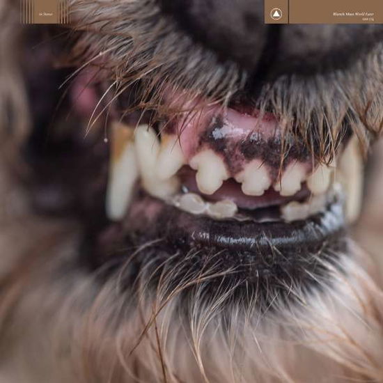 Cover for Blanck Mass · World Eater (LP) [Limited edition] (2017)