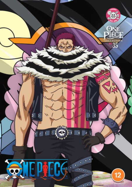 Cover for One Piece · One Piece - Collection 35 (DVD) (2024)