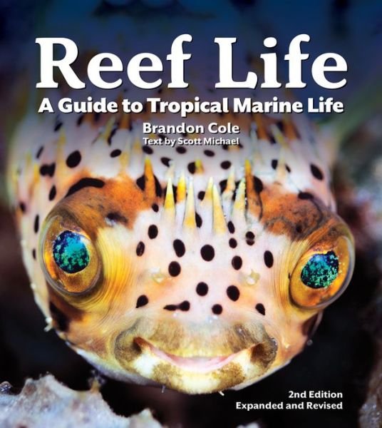 Cover for Michael Scott · Reef Life: A Guide to Tropical Marine Life (Pocketbok) (2020)