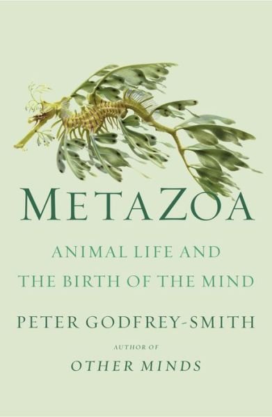 Cover for Peter Godfrey-Smith · Metazoa: Animal Life and the Birth of the Mind (Hardcover Book) (2020)
