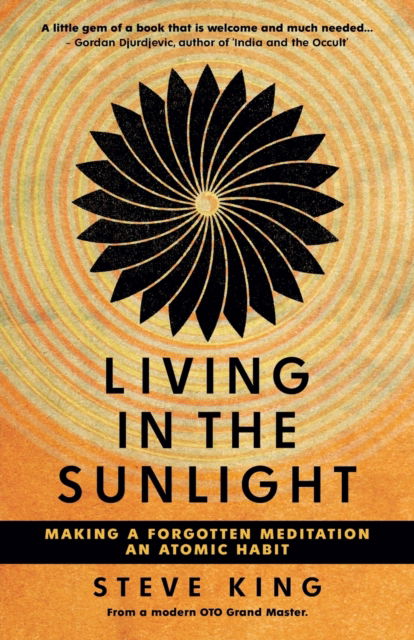 Cover for Steve King · Living in the Sunlight (Paperback Book) (2022)