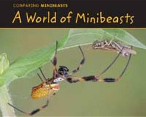 A World of Minibeasts - Charlotte Guillain - Książki - Pearson Education Limited - 9781406228946 - 4 sierpnia 2011