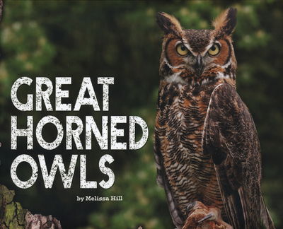 Cover for Melissa Hill · Great Horned Owls - Owls (Hardcover Book) (2015)