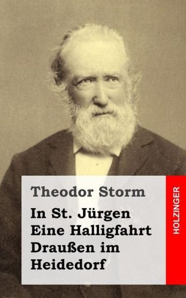 Cover for Theodor Storm · In St. Jurgen / Eine Halligfahrt / Draussen Im Heidedorf (Paperback Book) (2013)
