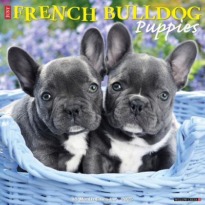 Willow Creek Press · Just French Bulldog Puppies 2025 12 X 12 Wall Calendar (Calendar) (2024)