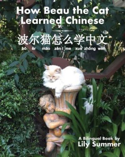 Cover for Lily Summer · How Beau the Cat Learned Chinese (Paperback Book) (2017)