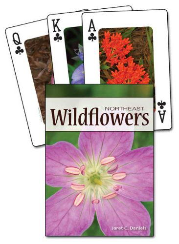 Cover for Jaret Daniels · Wildflowers of the Northeast Playing Cards (Flashcards) [Pcr Crds edition] (2012)