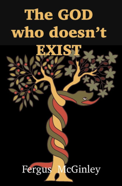 Cover for Fergus McGinley · The God who doesn’t exist: God in an evolutionary world (Paperback Book) (2025)