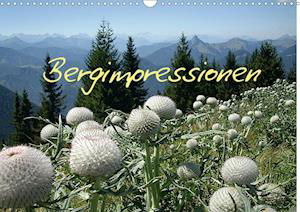 Cover for Kapp · Bergimpressionen (Wandkalender 202 (Book)