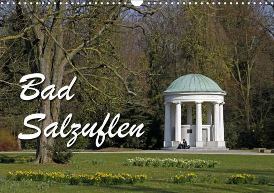 Bad Salzuflen (Wandkalender 2021 D - Berg - Bøger -  - 9783671527946 - 