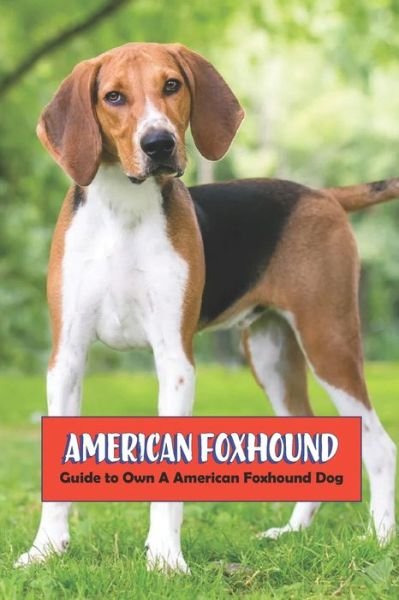 Cover for Gosnell Mollie · American Foxhound: Guide to Own A American Foxhound Dog (Paperback Book) (2022)