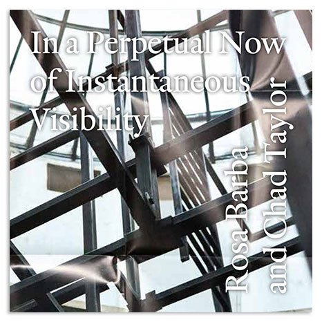 Cover for Barba,rosa / Taylor,chad · In a Perpetual Now of Instantaneous Visibility (CD) (2021)