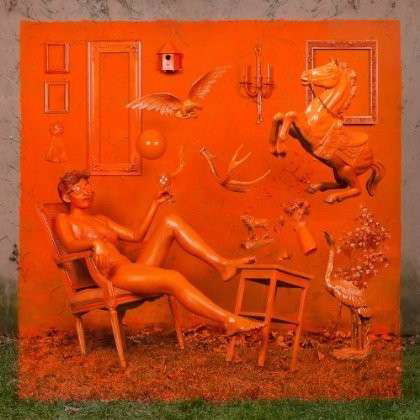 Cover for Diamond Youth · Orange (LP) (2013)