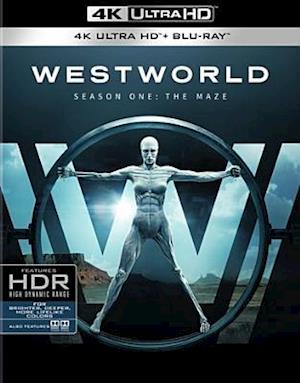 Westworld: Complete First Seas - Westworld: Complete First Seas - Filmy - ACP10 (IMPORT) - 0883929616947 - 2 października 2018