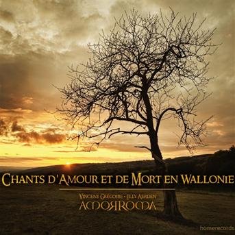 Cover for Vincent Gregoire / Elly Aerden / Amorro · Chants D'amour Et De (CD) (2013)