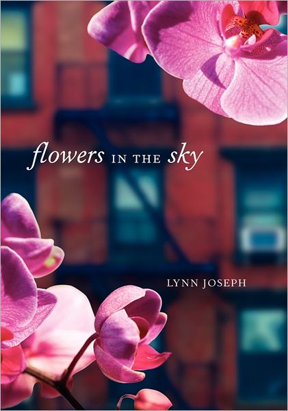 Cover for Lynn Joseph · Flowers in the Sky (Hardcover Book) (2013)