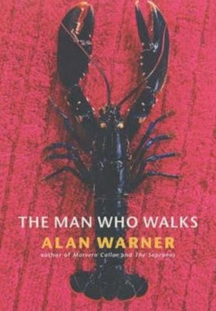Cover for Alan Warner · The Man Who Walks (Hardcover bog) (2002)