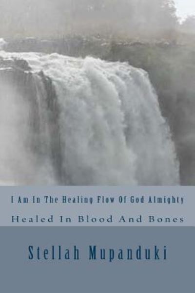 Cover for Stellah Mupanduki · I Am in the Healing Flow of God Almighty (Paperback Book) (2017)