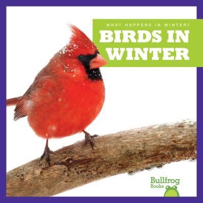 Birds in Winter - Jennifer Fretland VanVoorst - Książki - Bullfrog Books - 9781620313947 - 1 sierpnia 2016