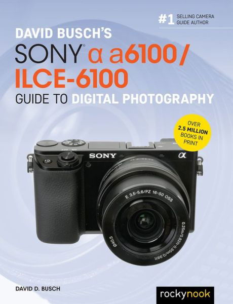 Cover for David D. Busch · David Busch's Sony Alpha a6100/ILCE-6100 Guide to Digital Photography (Taschenbuch) (2020)