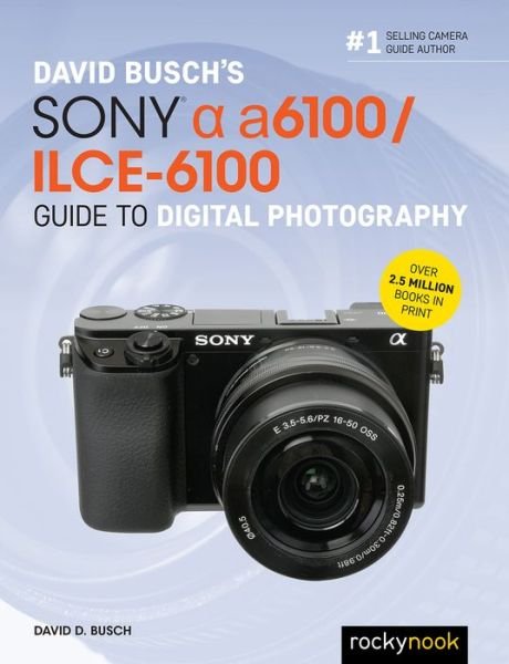Cover for David D. Busch · David Busch's Sony Alpha a6100/ILCE-6100 Guide to Digital Photography (Paperback Bog) (2020)