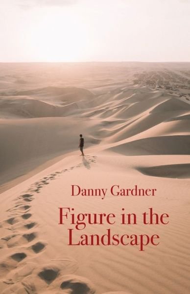 Cover for Danny Gardner · Figure in the Landscape (Paperback Book) (2022)