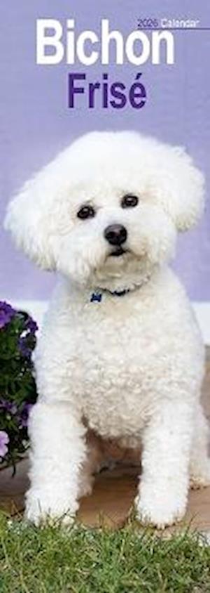 Cover for Bichon Frise Slim Calendar 2026  Dog Breed Slimline Calendar - 12 Month (Calendar) (2025)