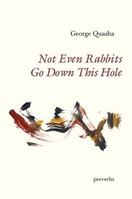 Cover for George Quasha · Not Even Rabbits Go Down This Hole (Pocketbok) (2020)