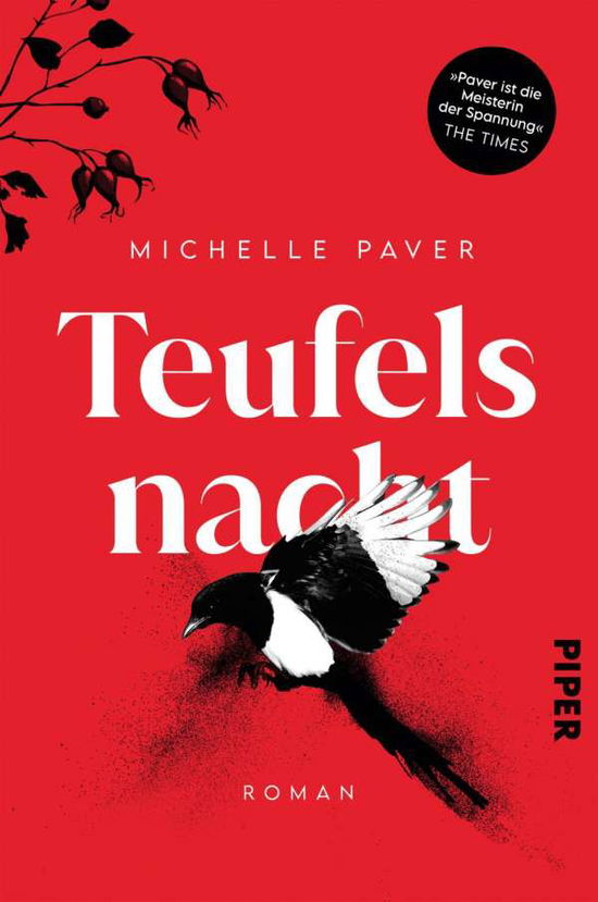 Cover for Michelle Paver · Teufelsnacht (Pocketbok) (2021)