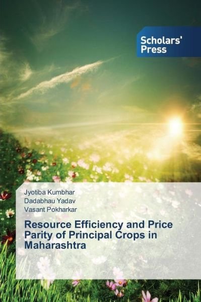 Cover for Vasant Pokharkar · Resource Efficiency and Price Parity of Principal Crops in Maharashtra (Taschenbuch) (2013)