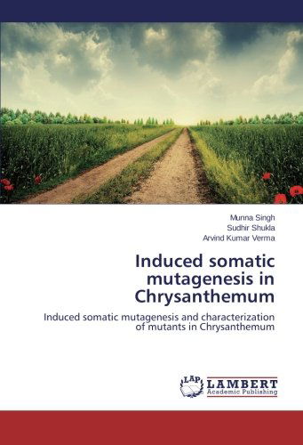 Cover for Arvind Kumar Verma · Induced Somatic Mutagenesis in Chrysanthemum: Induced Somatic Mutagenesis and Characterization of Mutants in Chrysanthemum (Paperback Book) (2014)