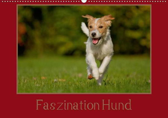 Cover for Bischof · Faszination Hund (Wandkalender (Book)