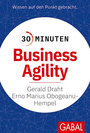 Cover for Gerald, Draht, Erno Marius Obogeanu-hempel · 30 Minuten Business Agility (Book)