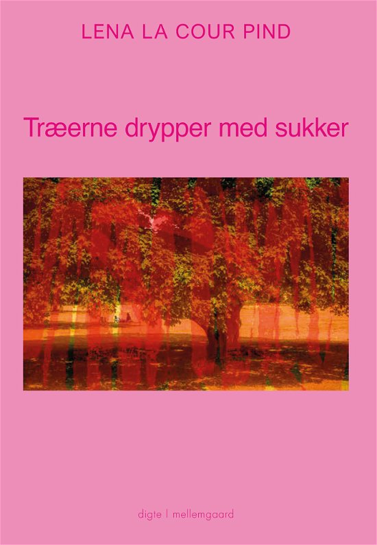 Cover for Lena La Cour Pind · Træerne drypper med sukker (Heftet bok) [1. utgave] (2024)