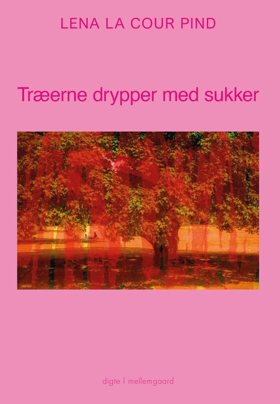 Cover for Lena La Cour Pind · Træerne drypper med sukker (Sewn Spine Book) [1th edição] (2024)