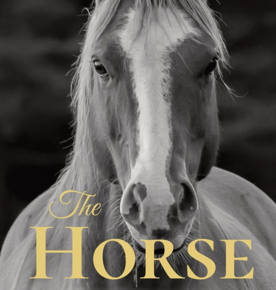 Cover for Jacqueline Melgren · The Horse (Hardcover Book) (2022)