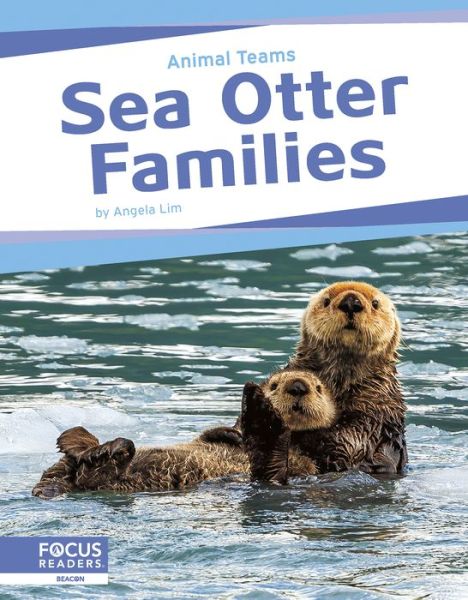 Cover for Angela Lim · Sea Otter Families - Animal Teams (Hardcover Book) (2024)