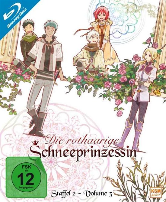 Cover for N/a · Rothaarige Schneeprinzes.02.3,bd.k5494 (Blu-ray) (2019)