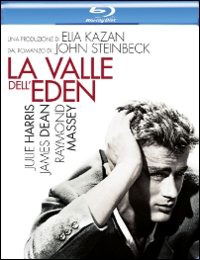 Cover for Valle Dell'eden (La) (Blu-ray) (2014)