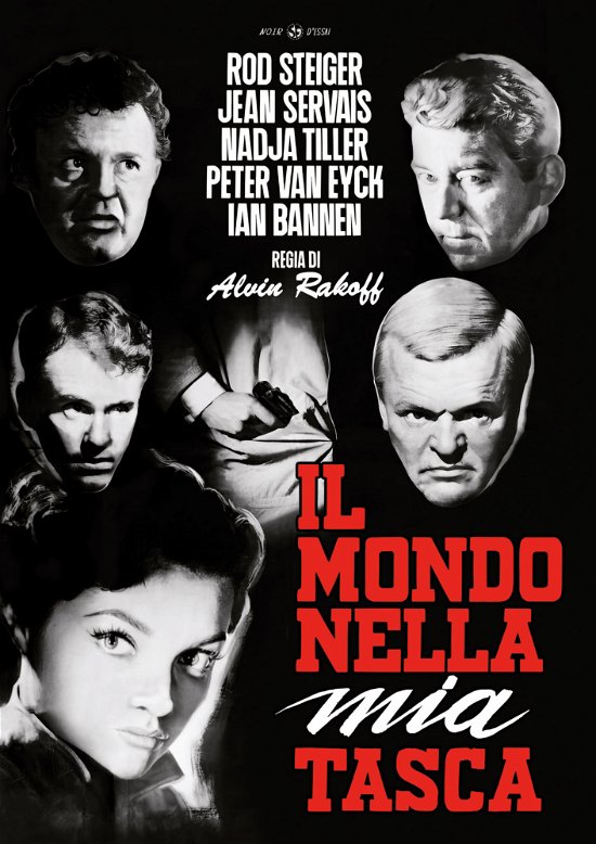 Mondo Nella Mia Tasca (Il) (Re (DVD) (2024)